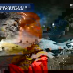 Echa Arsad profile icon