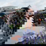 Charlotte Corbita profile icon