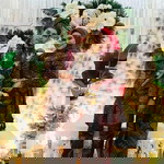 intan atiqah binti maarof profile icon