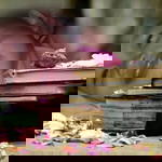 Karla Fernandez Capit profile icon