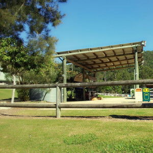 shamira adilla profile icon