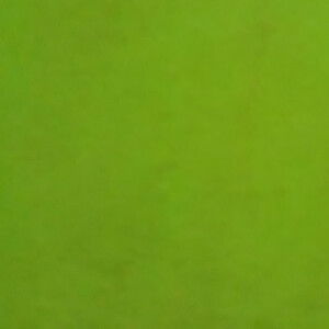 Riska Asih profile icon