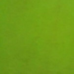 Riska Asih profile icon