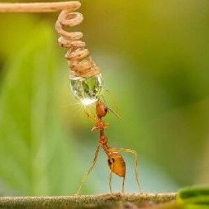 Jangan Menyerah profile icon