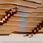 Jom Lenard Ramos profile icon