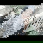 Kristiana Titik profile icon