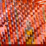 Nhi Nguyễn profile icon