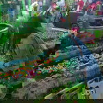 Nuchnetr Nuch profile icon