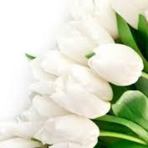 fathihah nurliyana profile icon