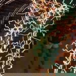 Mers Sapiandante profile icon