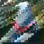 D'Shu Zy profile icon