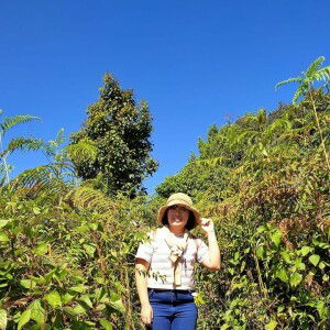 Fangko Ing profile icon