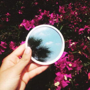 Mini Daisy profile icon