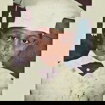 Jason Whiteside profile icon