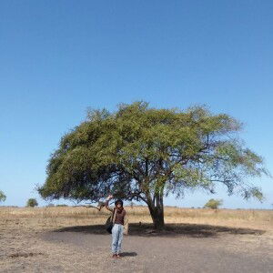 Binar Ulfadari profile icon