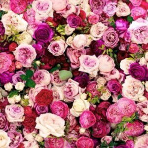 Puteri Puteri profile icon