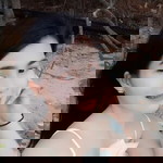 วิ หน้าน้อย profile icon