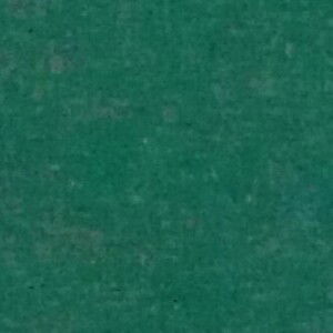 Fitriana Rizky profile icon