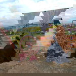 Julie Yhantie profile icon