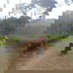 Wiwin Winarti profile icon