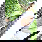 Danti Amalia Zain profile icon