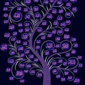 Yumm Yull Yum profile icon