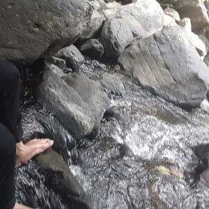 สิ่งมีชีวิต ที่คิดได้และเจ็บเป็น profile icon