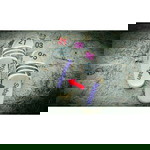 Bunda suiya profile icon