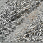 an. nisa profile icon