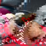 อุไรวรรณ คำเมือง profile icon