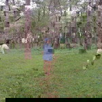 Joy Devicais Deypalan Magallanes profile icon