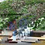 Cheryl Ho profile icon