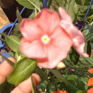 Neneng Febri Handayani profile icon