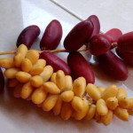 Promil Arraihan profile icon