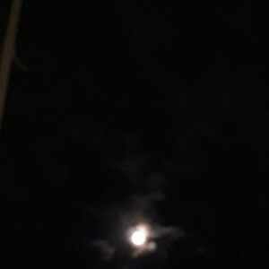 Ling Ling profile icon