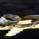 Rachelle Gnirp profile icon