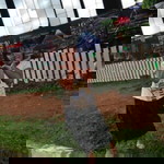 Aan Andriani profile icon