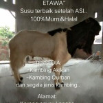Kukuh M Shiddiq profile icon