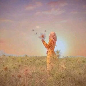 Nova Va profile icon