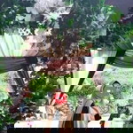 رني اوتري profile icon