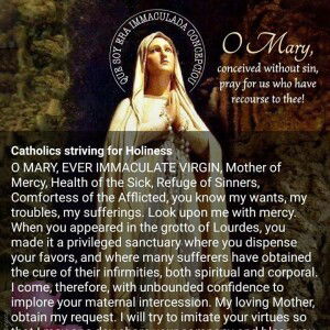 Meldred Belvestre Caparo profile icon