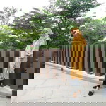 Dian Nuri Listiana profile icon