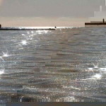 Maeraflor Ciruelos Pradas profile icon