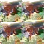 Nok Aumporn profile icon