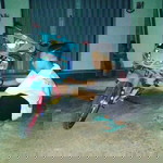 RipaL RipaL profile icon