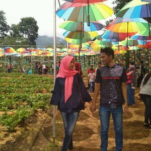 Anies Maawaaty profile icon