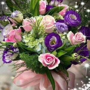 Hoa Cat Tuonq profile icon