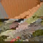 Aiydaa Roseli profile icon