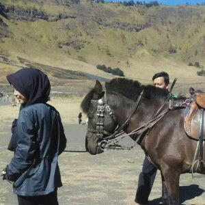 Dwi Arifatun Nisa' profile icon