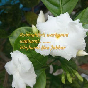 Sugi Yanti profile icon